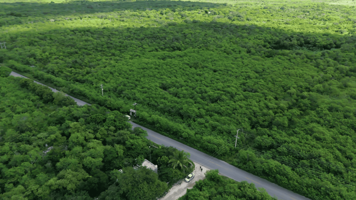 3 of 6: vista aerea del terreno 3