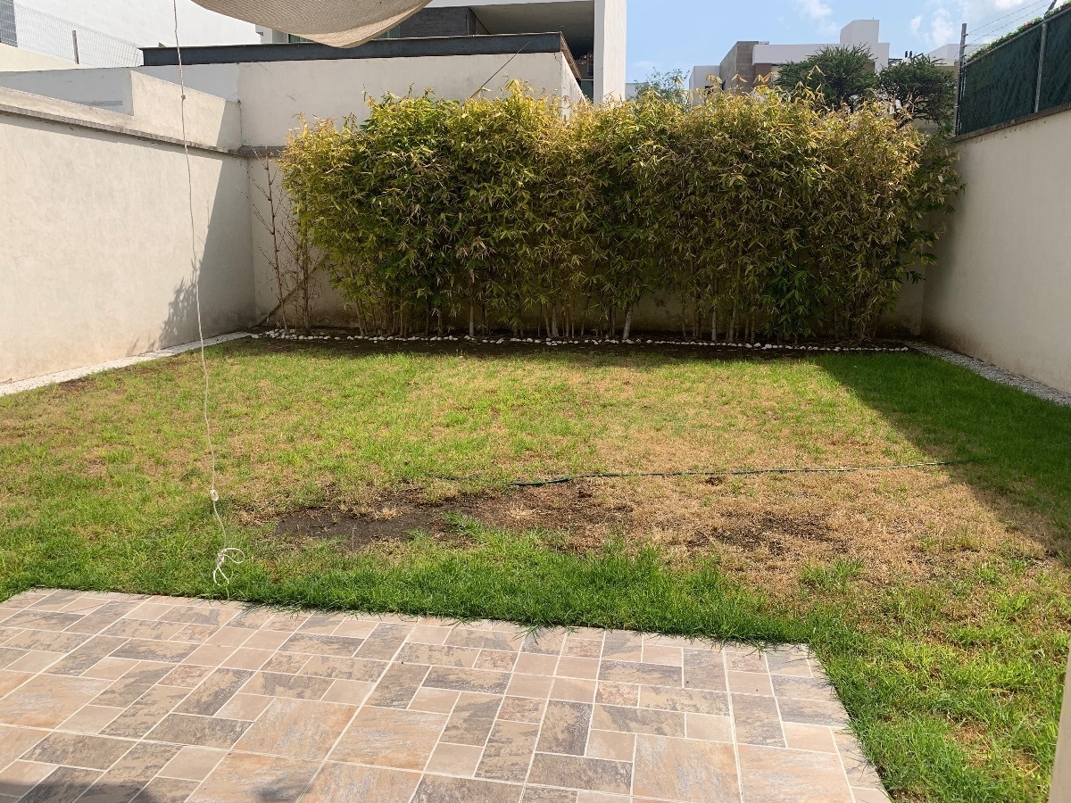 4 de 12: Jardín trasero