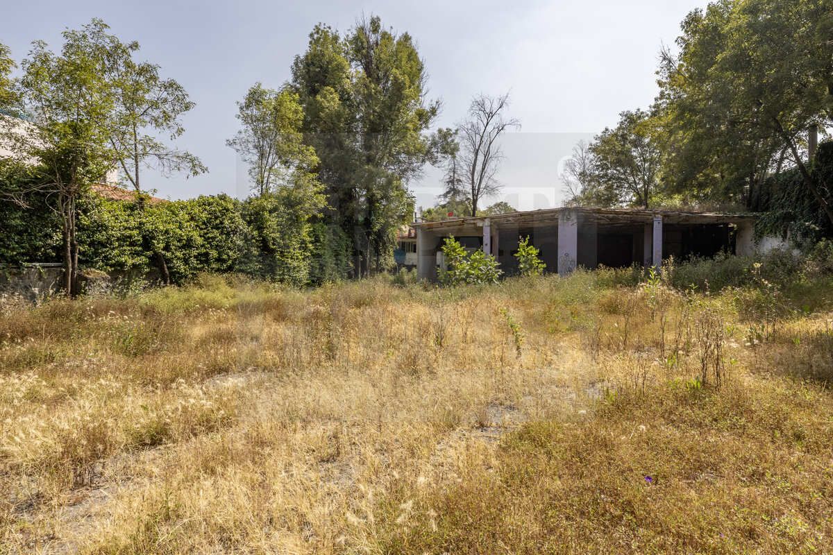 5 of 19: Listo para desarrollar