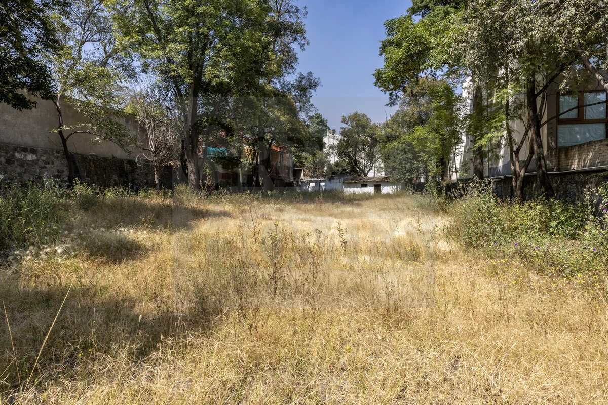 6 of 19: Arbolado perimetralmente