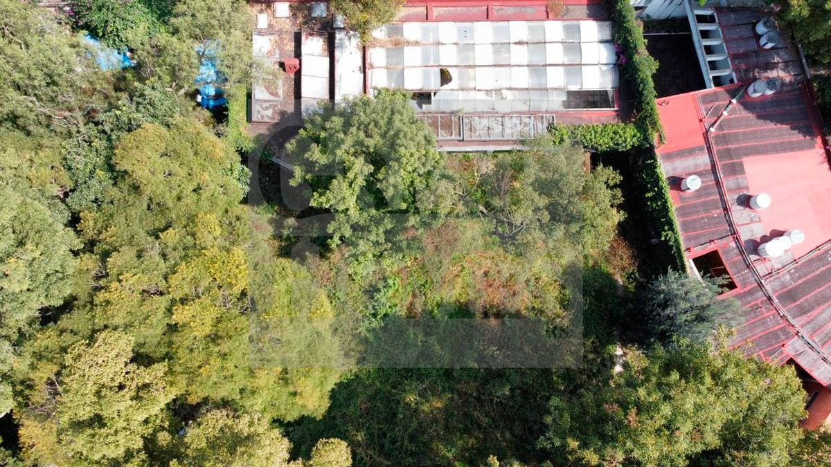 18 of 19: Propio para varios destinos