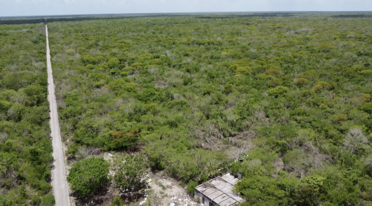4 de 6: Terreno vista aerea