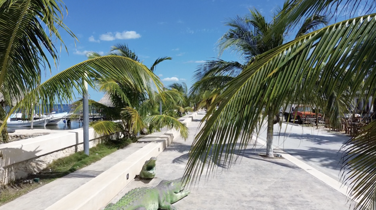 1 de 6: Malecón Dzilam
