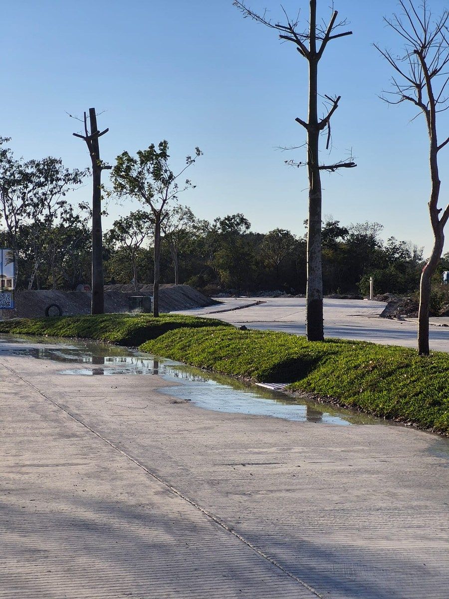 Lot in Dzityá, Mérida, photo 9 of 19