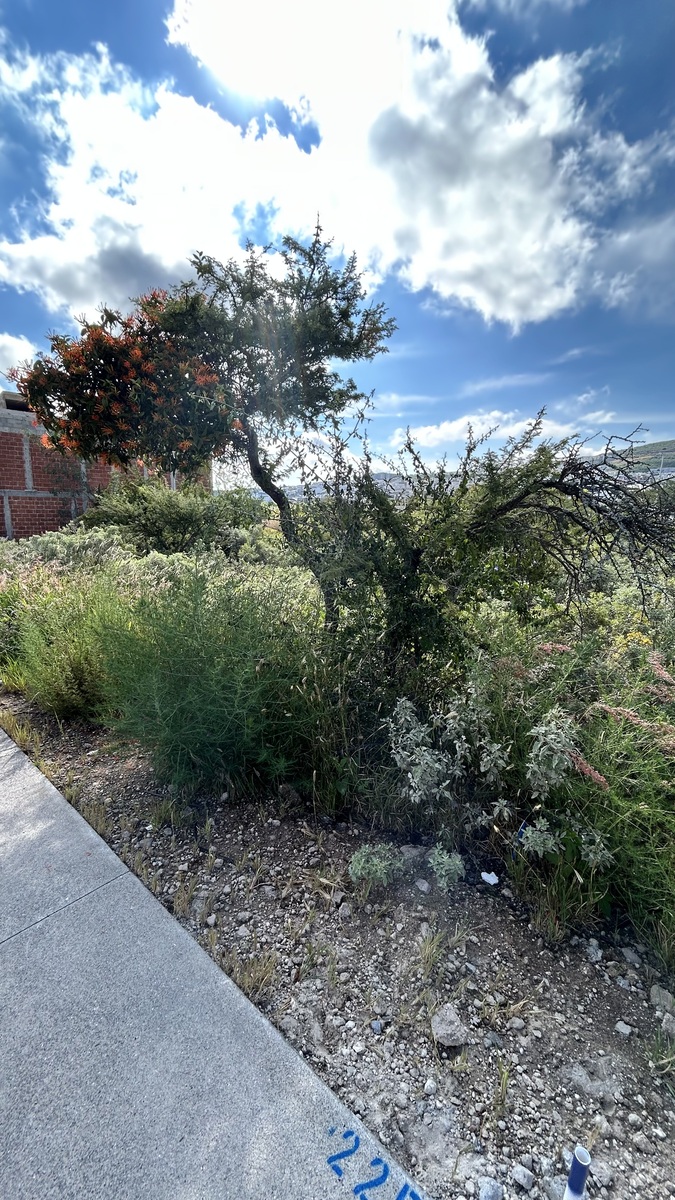 3 de 14: Terreno en venta