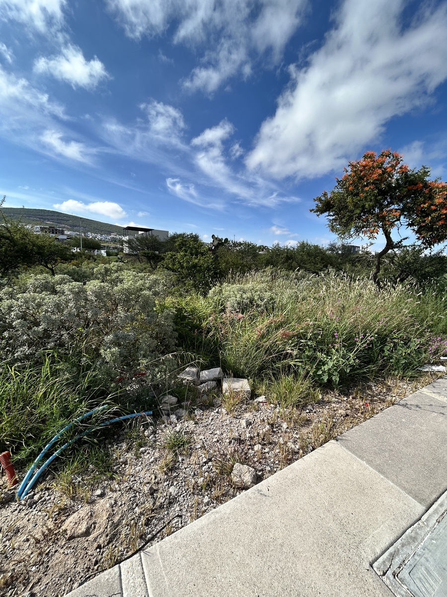 4 de 14: Terreno en venta