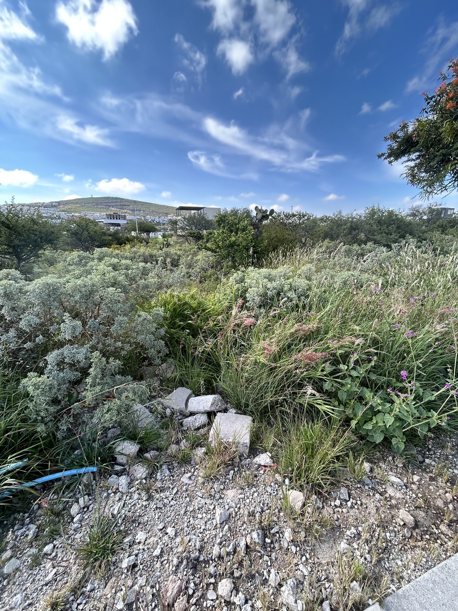 5 de 14: Terreno en venta