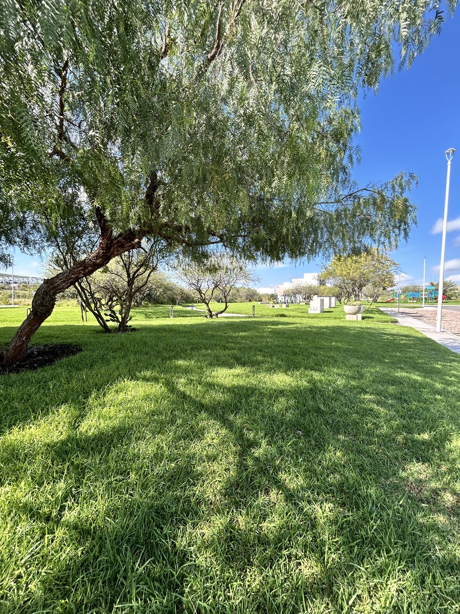 11 de 14: Amenidades