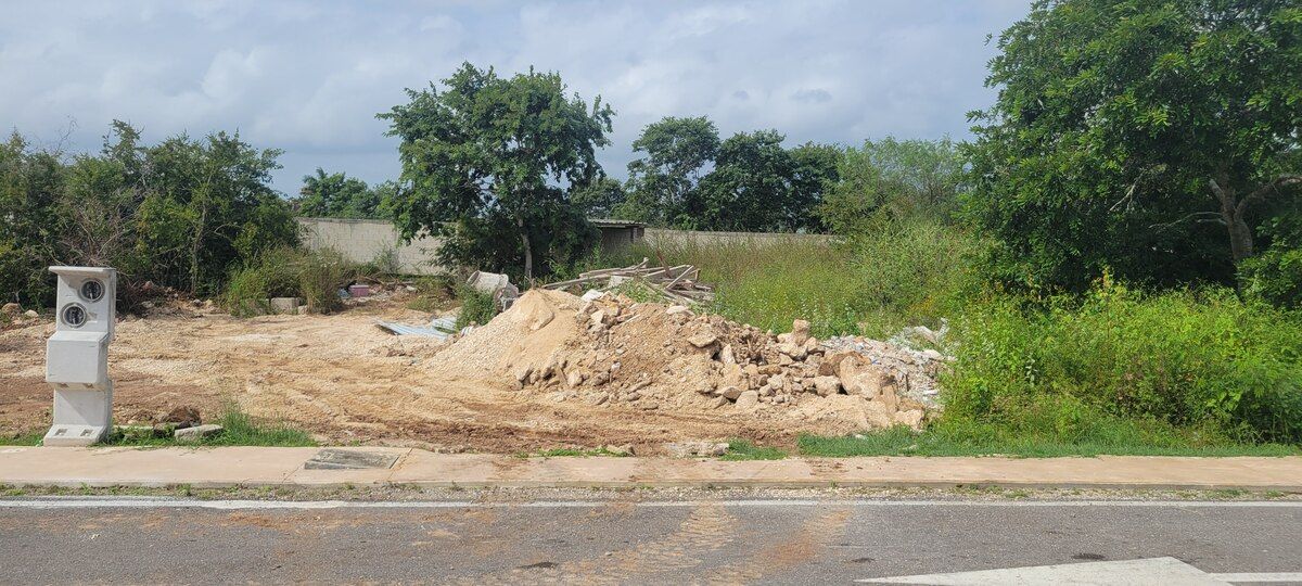 10 of 11: Frente del terreno