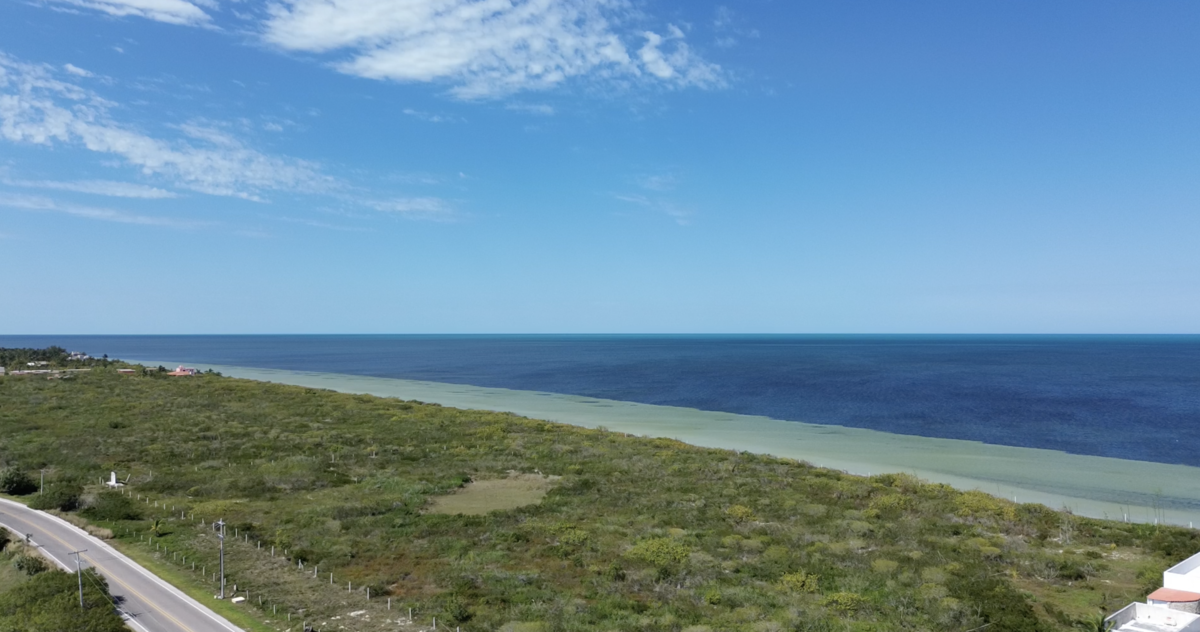 2 of 6: PLAYA DZILAM