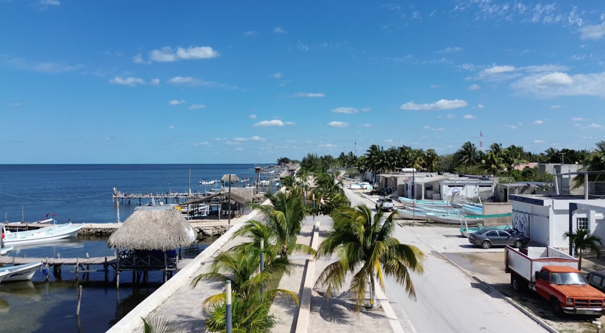 TERRENO PARA DESARROLLADORES EN YUCATAN | DZILAM - foto 5