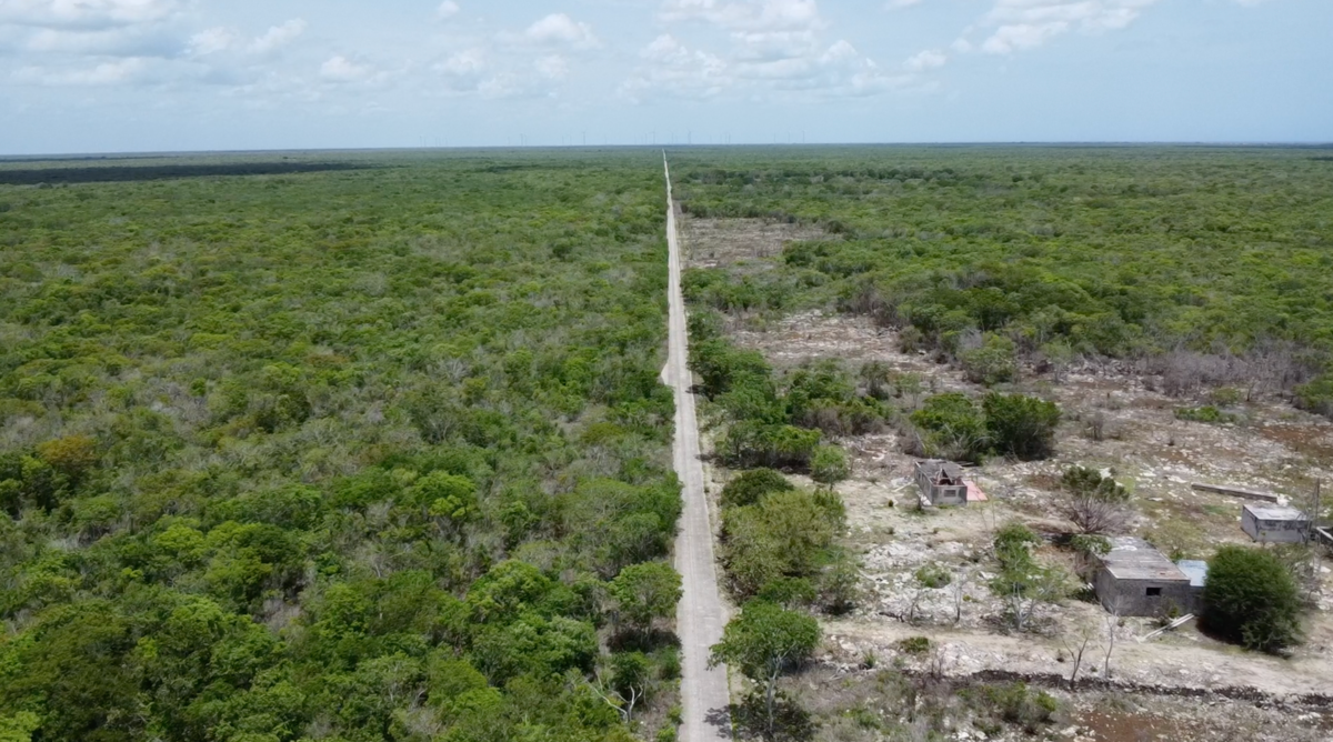 TERRENO PARA DESARROLLADORES EN YUCATAN | DZILAM - foto 1