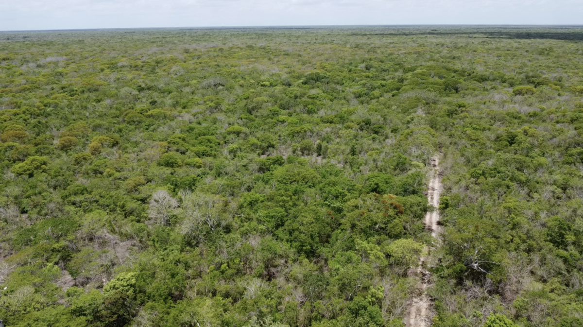 6 of 6: TERRENO EN VENTA VISTA AEREA