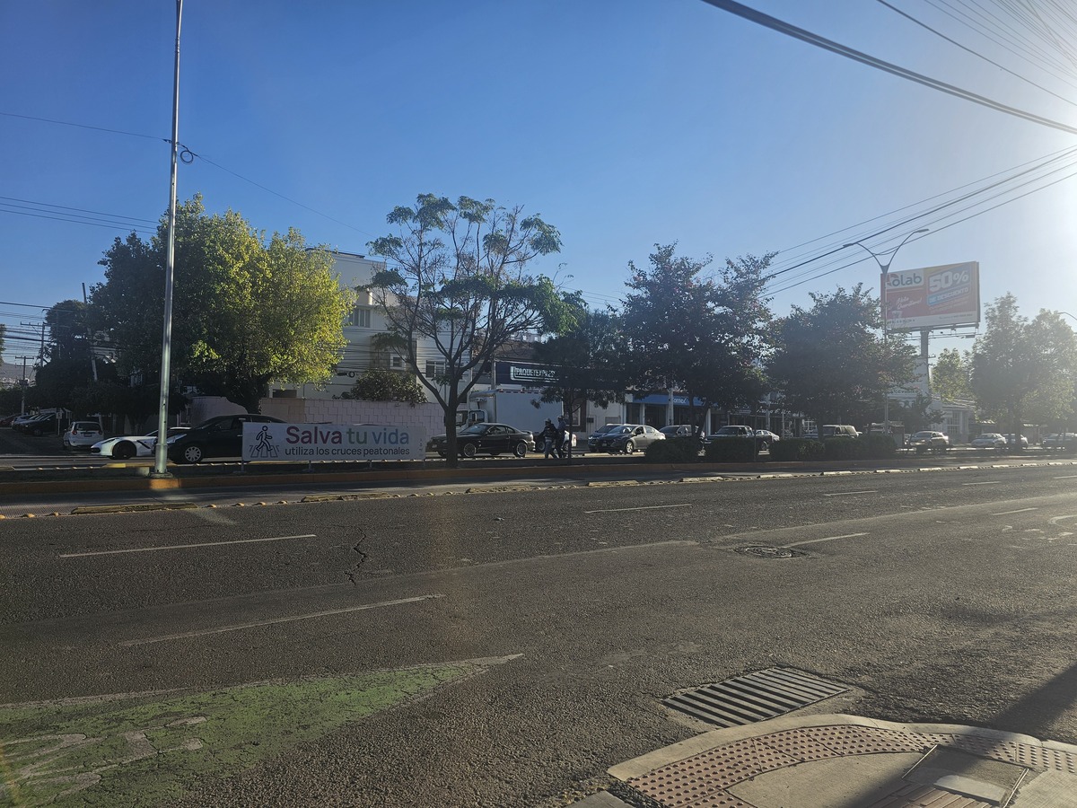 3 de 8: Vista avenida y paso vehicular constante