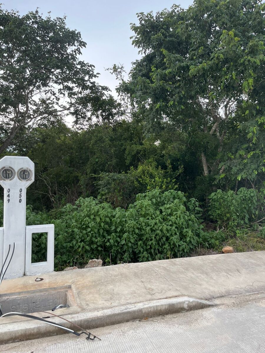 7 de 10: frente del terreno