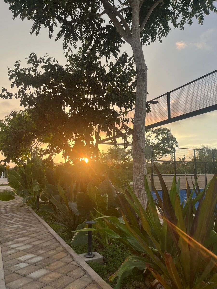 10 de 10: cancha de padel