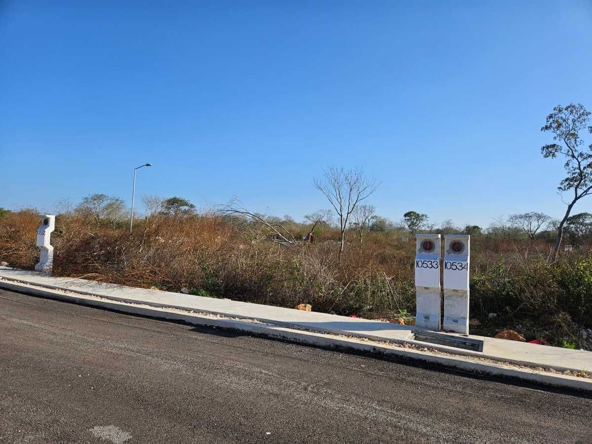 SALE SEPARATELY OF TWO LOTS IN CONKAL - foto 5