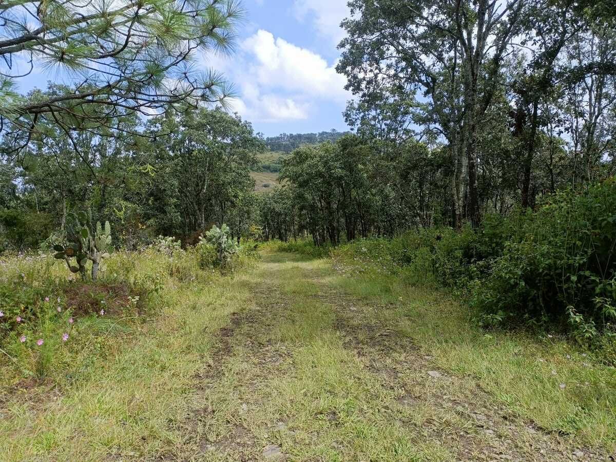 Terreno Disponible en San Miguel del Monte, en Morelia Michoacan