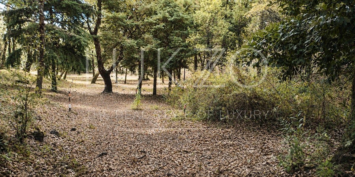 Land for sale in Los Ocotes, Tepoztlan, photo 1 of 7