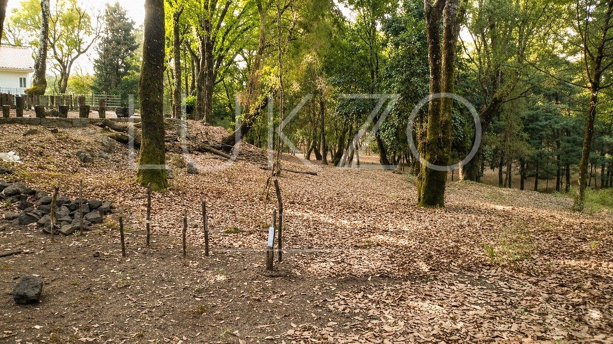 Lot in Los Ocotes, Tepoztlán, photo 2 of 7