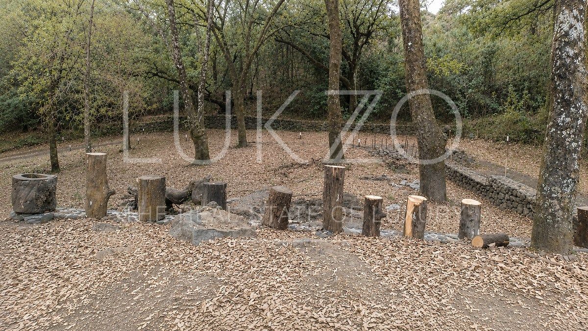 Lot in Los Ocotes, Tepoztlán, photo 7 of 7