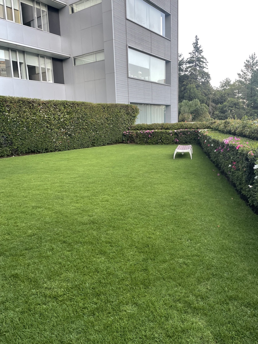 26 de 36: Jardín -fiestas