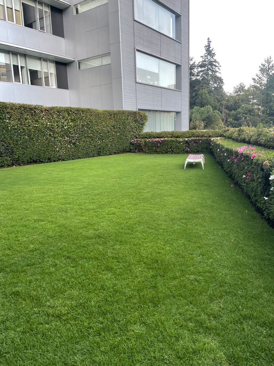 24 de 34: Jardín -fiestas