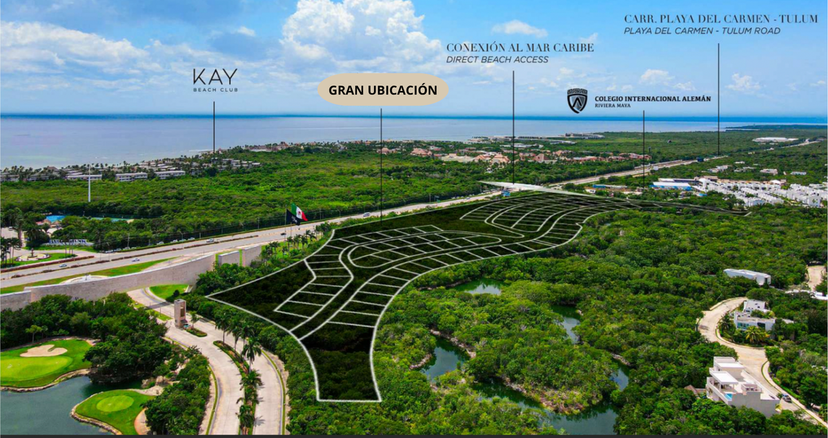 1 de 24: Lotes Premium