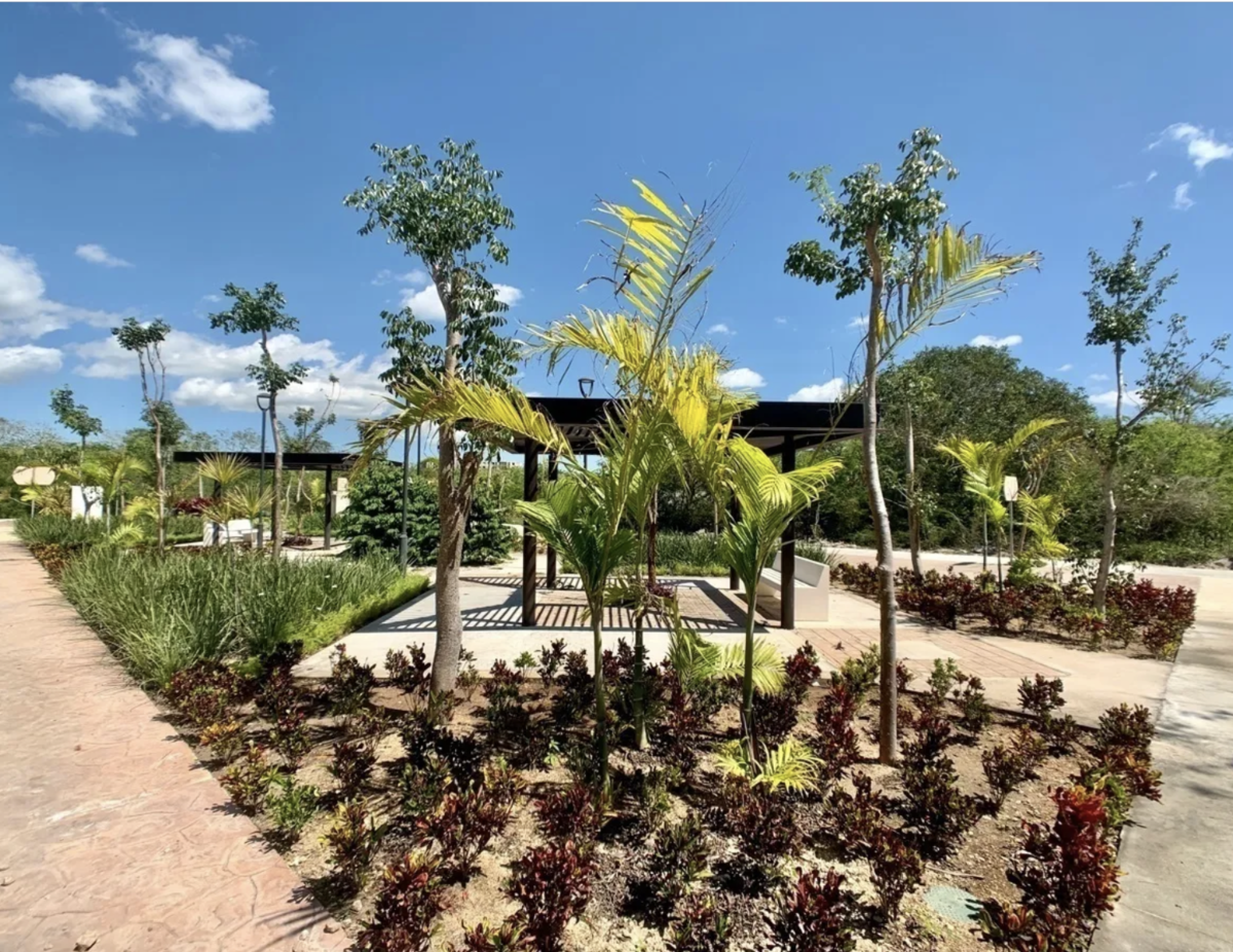 6 of 7: AREAS VERDES