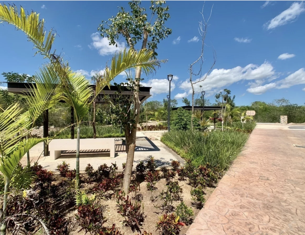 7 of 7: AREAS VERDES