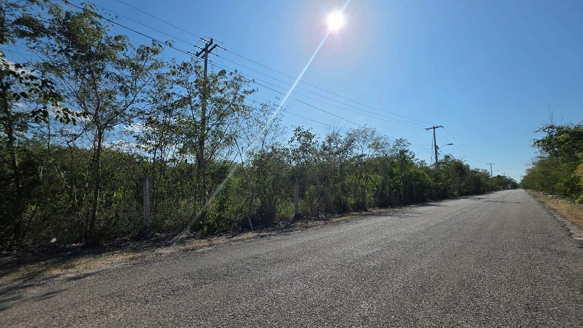Lote em Cholul, Mérida, foto 14 de 17