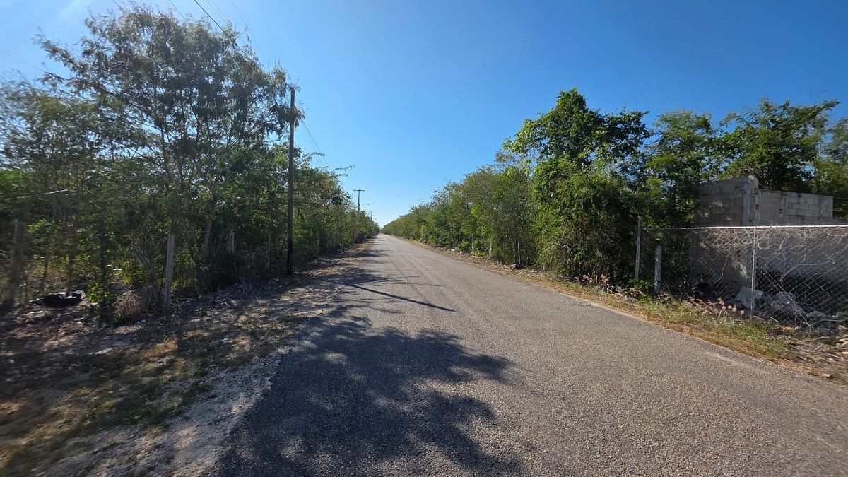 Lote em Cholul, Mérida, foto 16 de 17