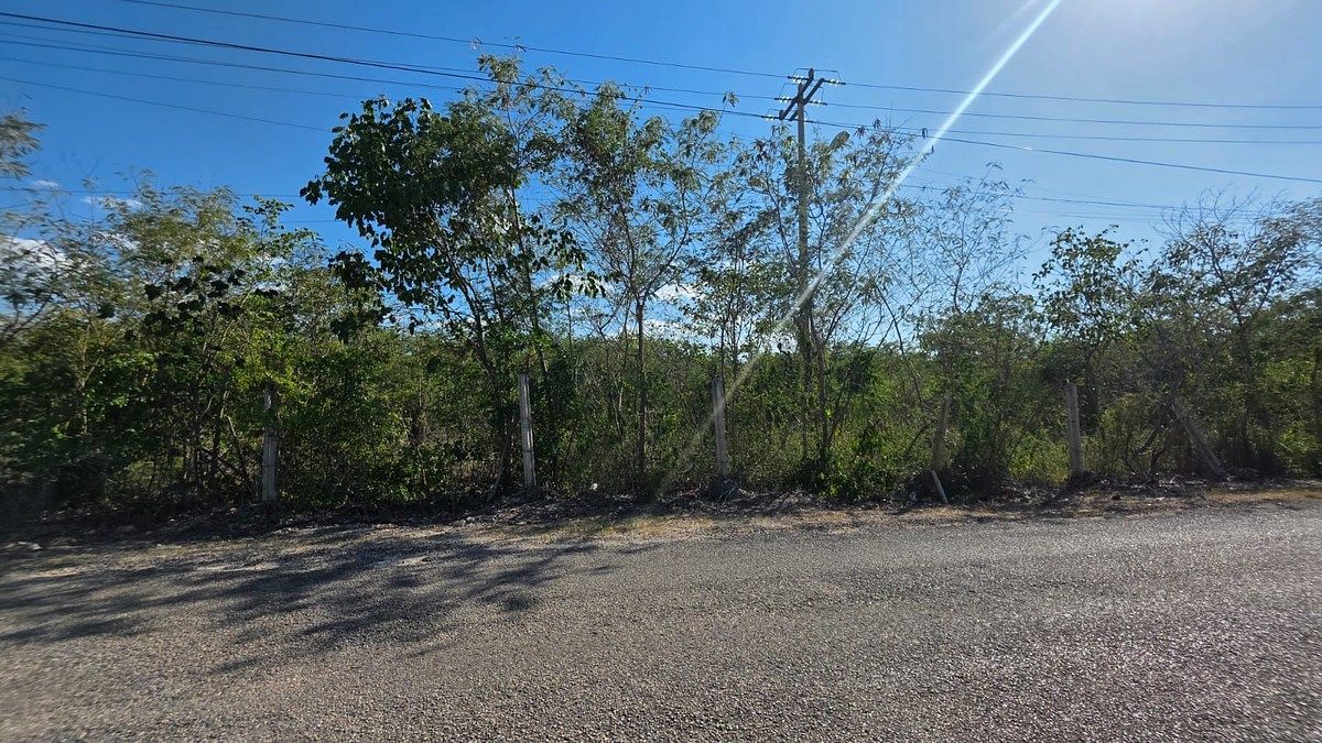 Lote em Cholul, Mérida, foto 15 de 17