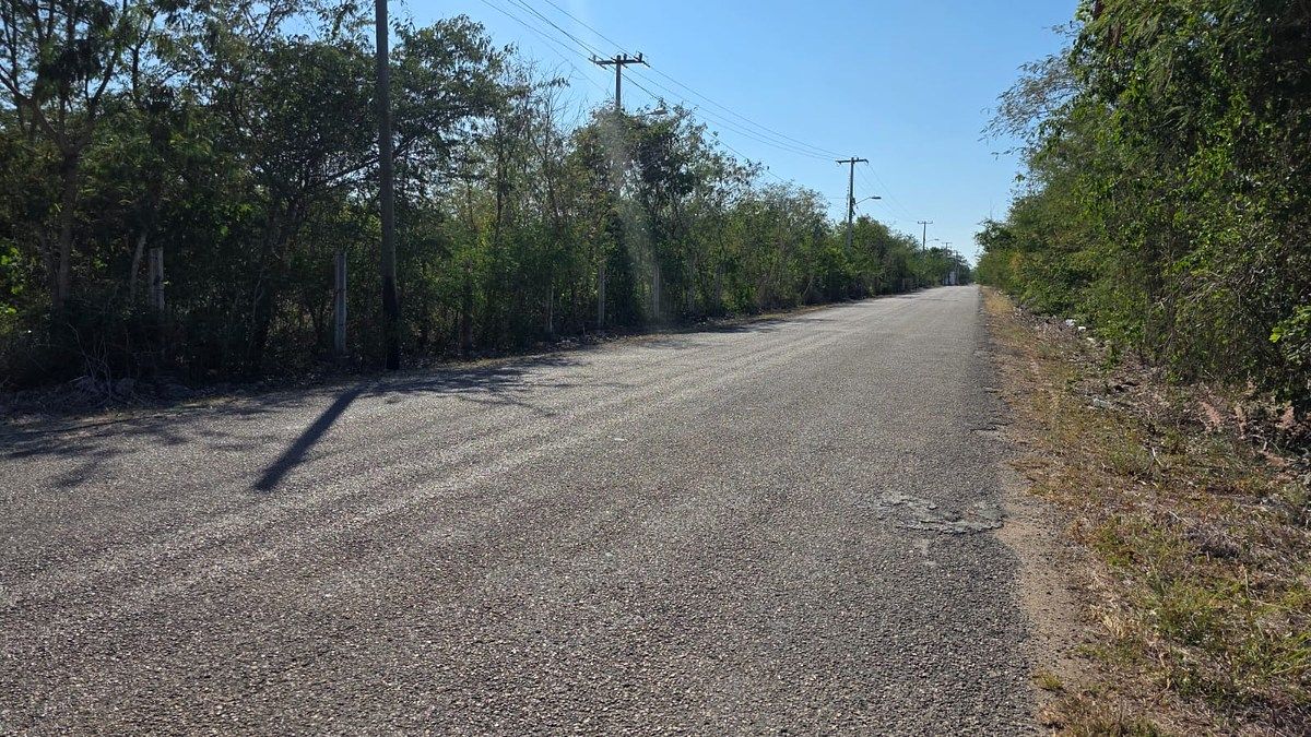 Lote em Cholul, Mérida, foto 6 de 17