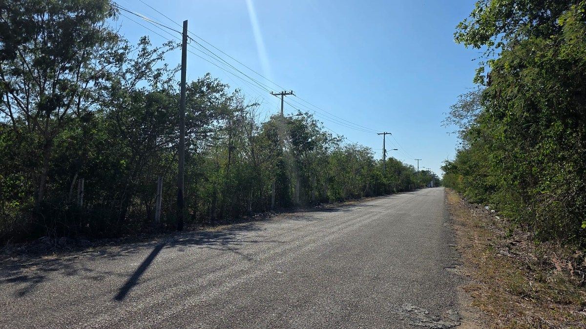 Lote em Cholul, Mérida, foto 3 de 17