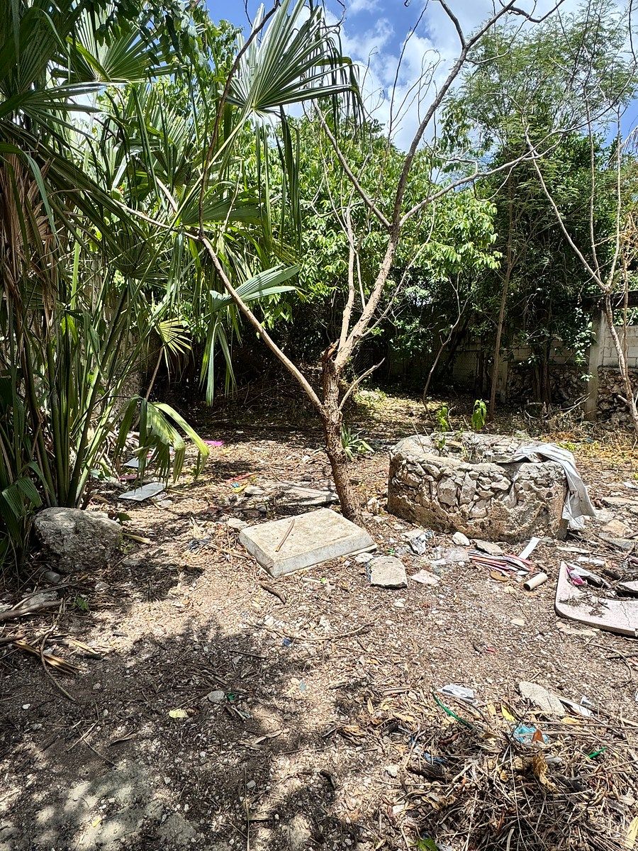 Casa em Mérida Centro, Mérida, foto 13 de 17