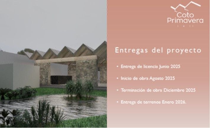 Primavera Subdivision in Santa Anita - foto 4