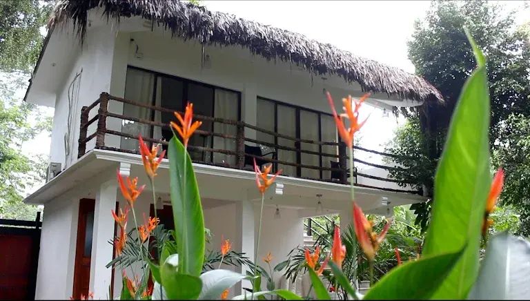 Hotel en venta en Palenque, Chiapas | 24,000 m² | En operación - foto 5