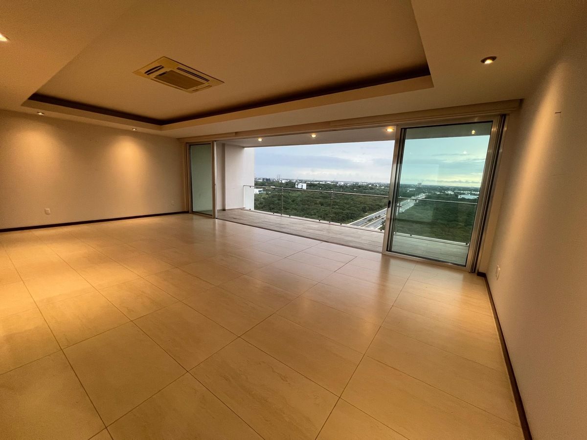 2 de 41: Área principal