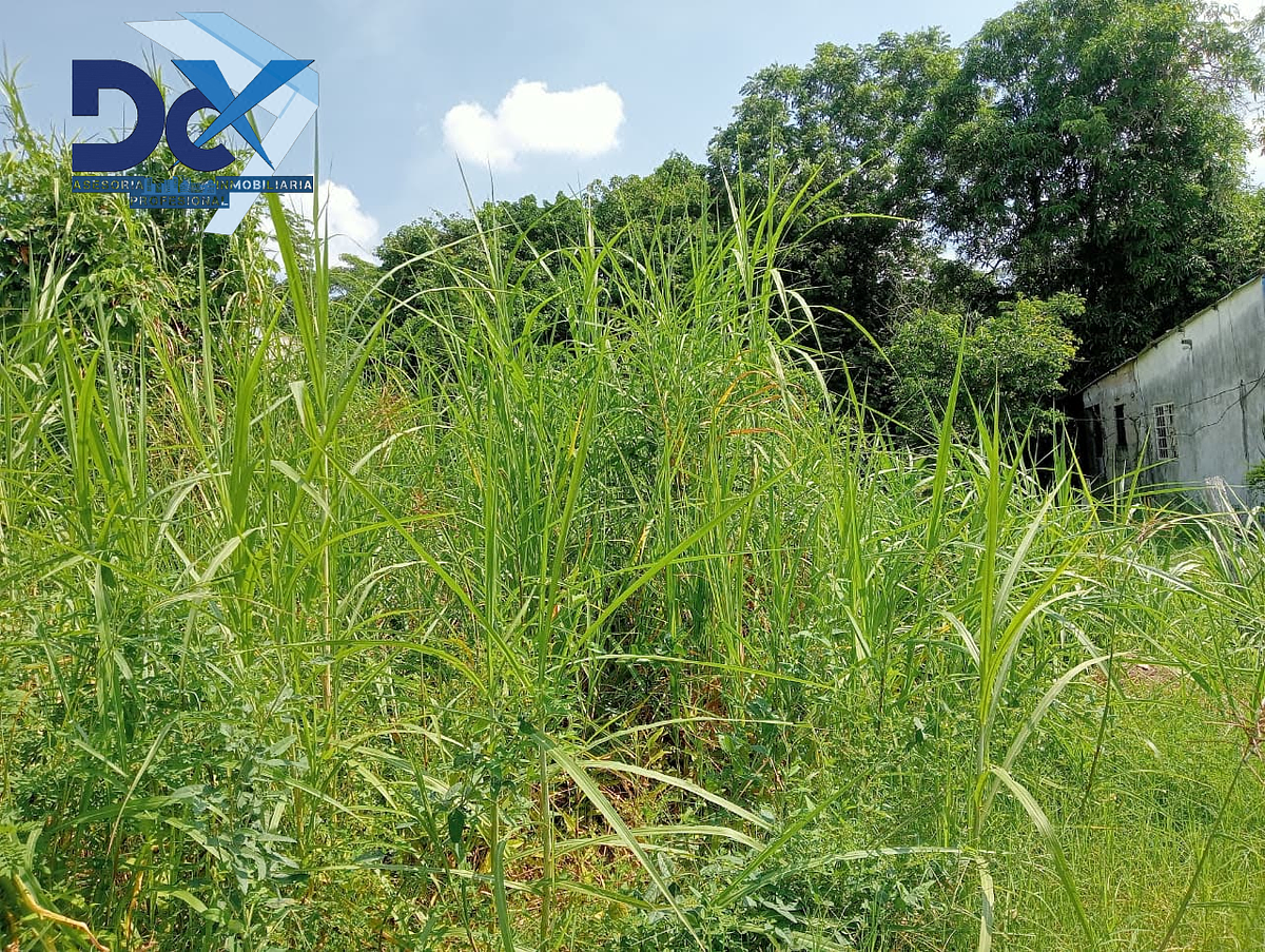 Terreno en Venta Col las Rosas Comalcalco