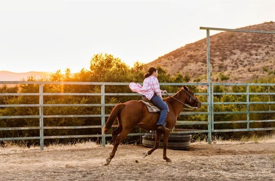 29 of 32: Caballerizas