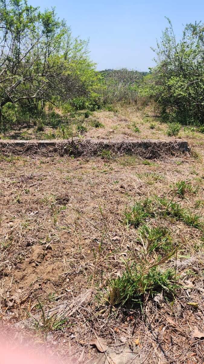 Terreno de 2 hectáreas en venta en Plaza de Toros. MEDELLÍN, VERACRUZ - foto 3