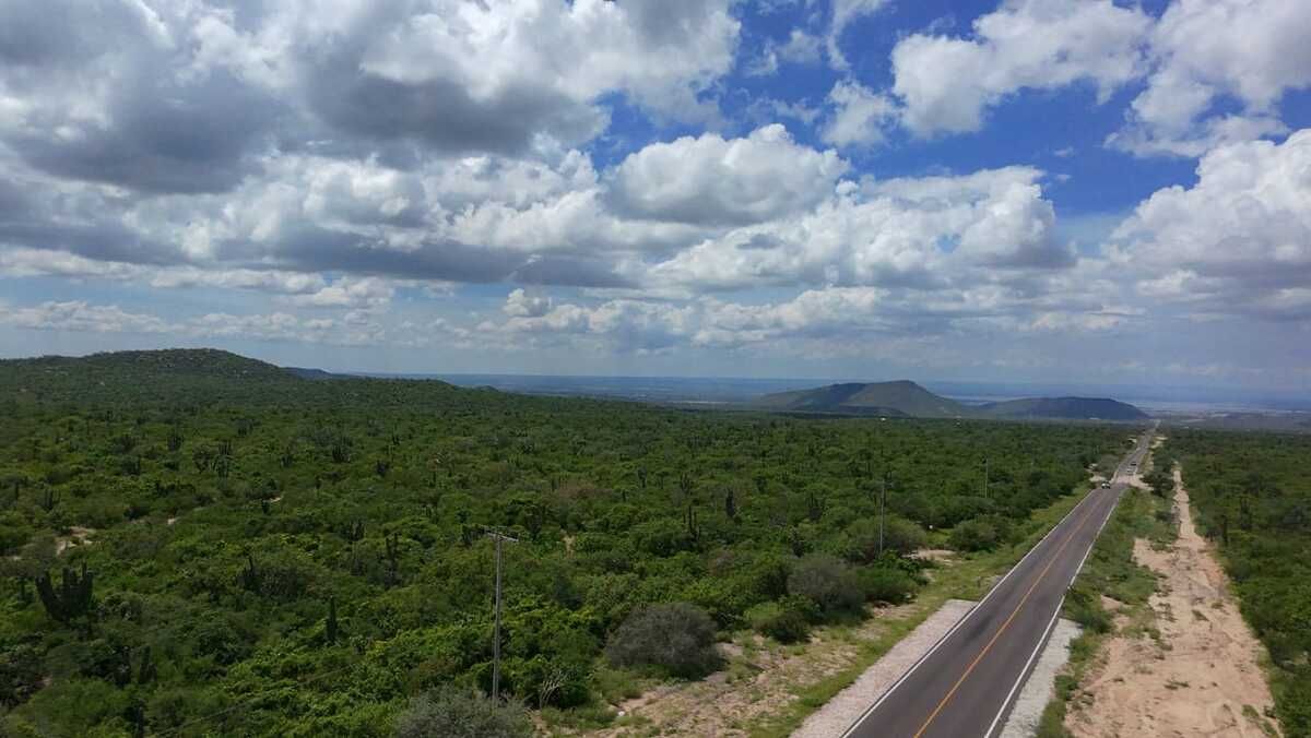 2 de 11: Cuenta con vista a la bahía