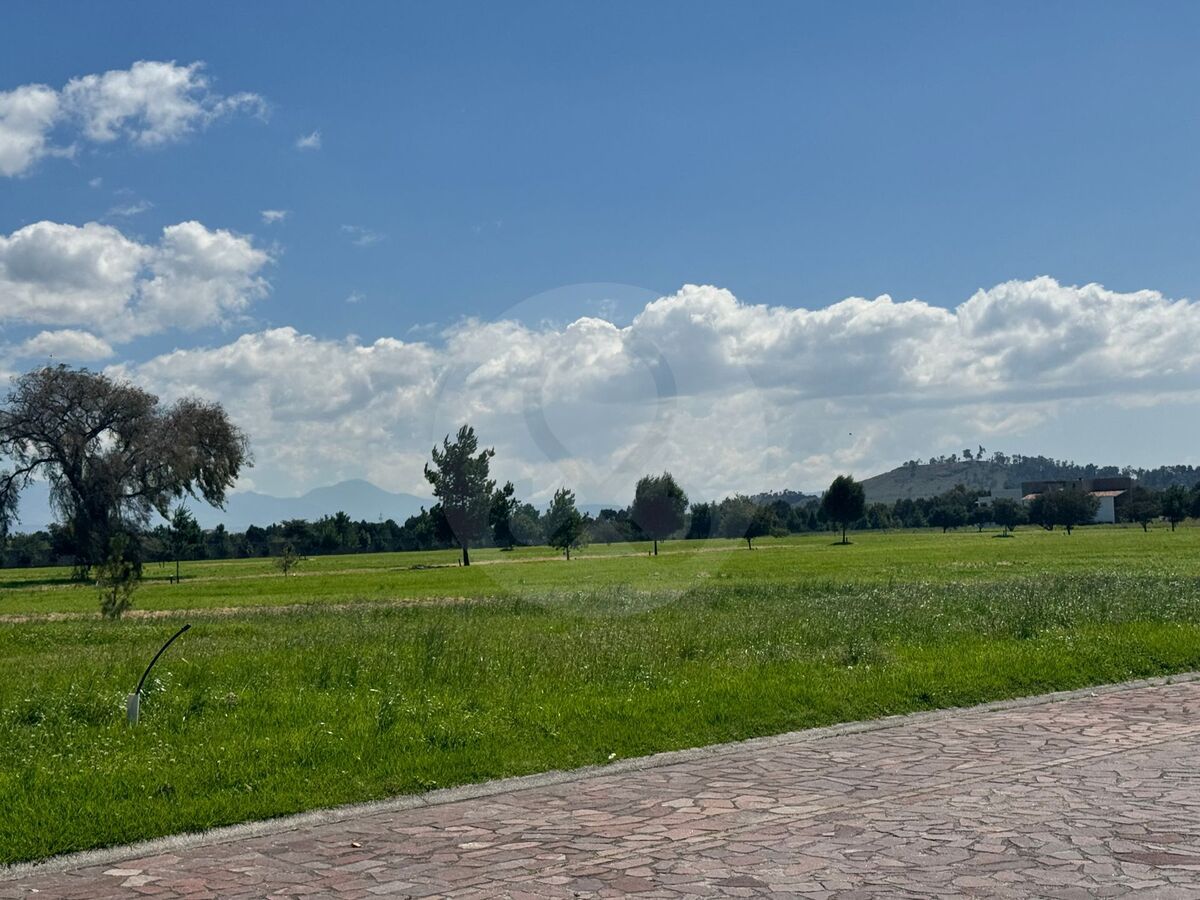 2 de 7