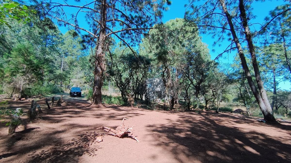 DISFRUTA DE LA NATURALEZA, INVIERTE EN MAGNÍFICO TERRENO, ATEMAJAC D BRIZUELA - foto 1