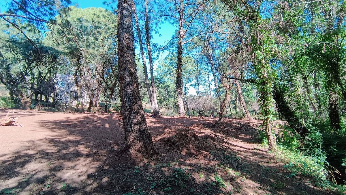 DISFRUTA DE LA NATURALEZA, INVIERTE EN MAGNÍFICO TERRENO, ATEMAJAC D BRIZUELA - foto 2