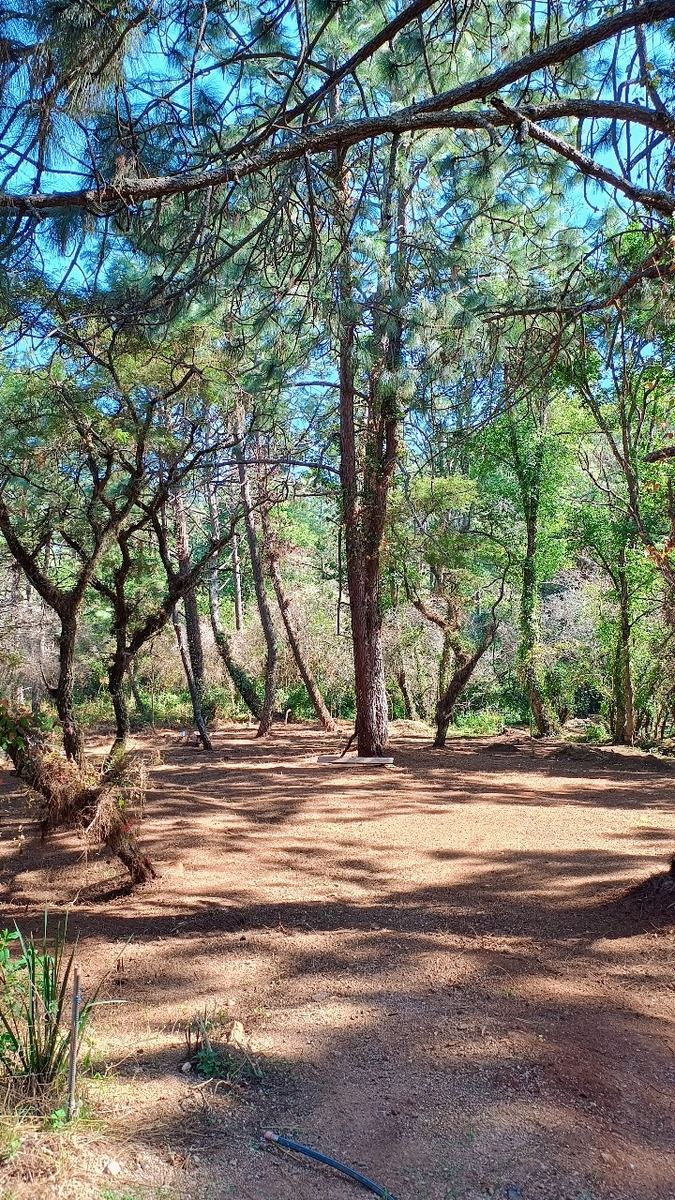 DISFRUTA DE LA NATURALEZA, INVIERTE EN MAGNÍFICO TERRENO, ATEMAJAC D BRIZUELA - foto 3