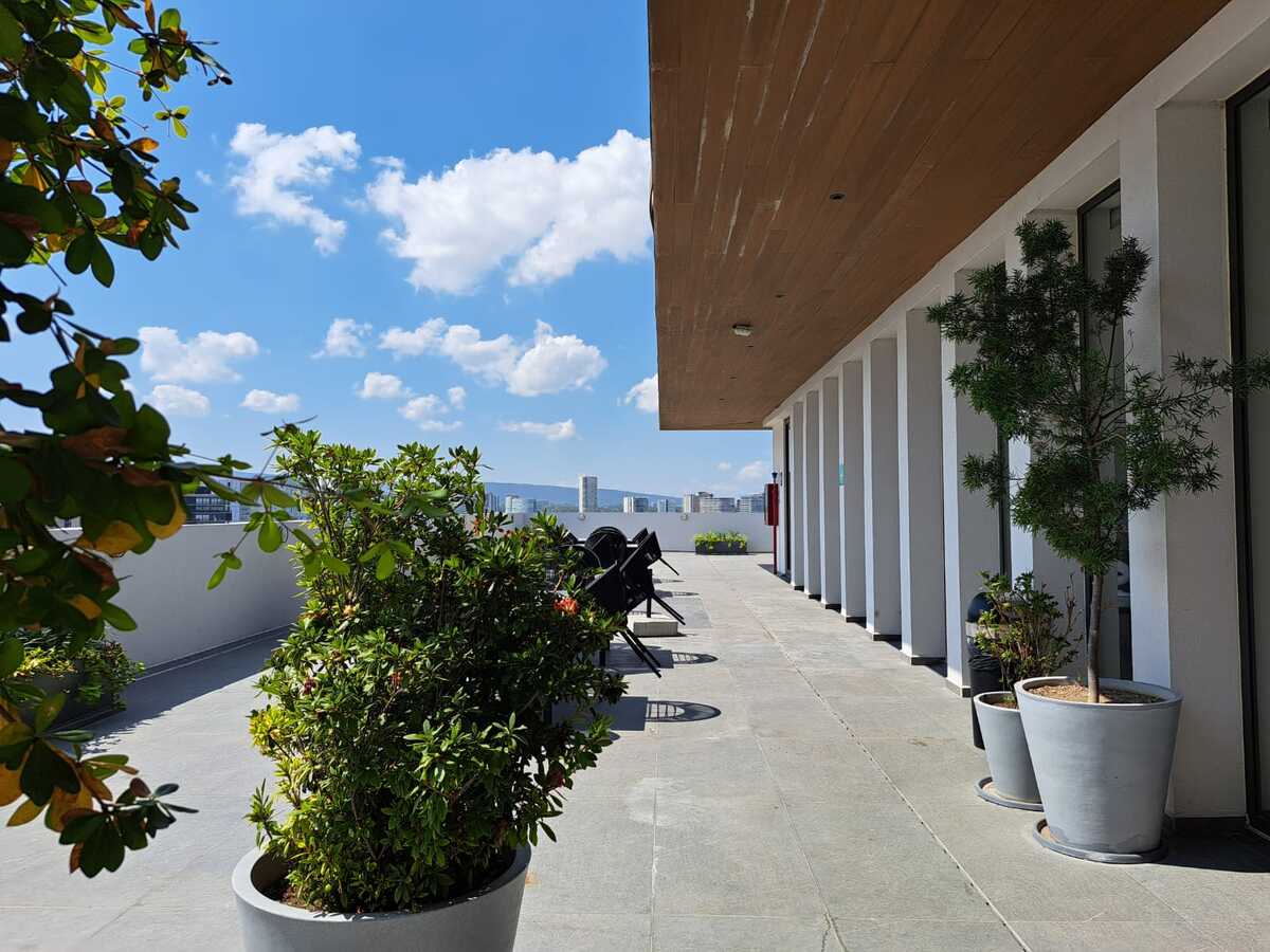 10 of 39: Terraza Roff Garden