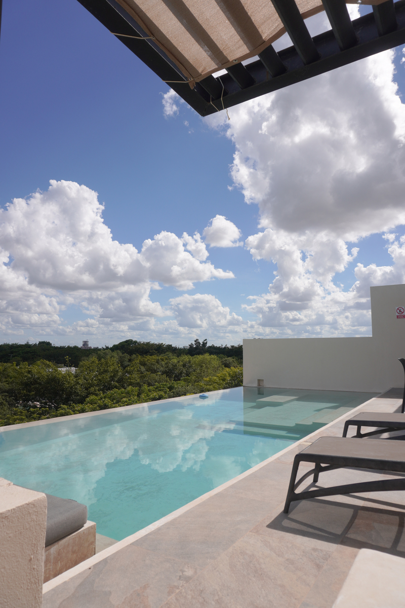 26 of 26: ALBERCA ROOF TOP