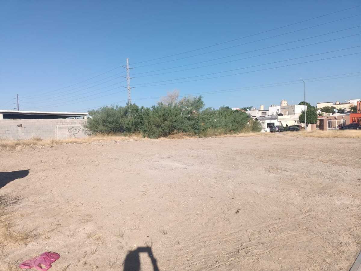 5 de 11: BELLAVISTA, LA PAZ